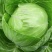 【诚信为本】优质扁包菜大量供应物美价廉量大从优