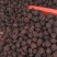 李子干