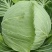 精品甘蓝农场种植现砍现发视频看货量大从优品质保
