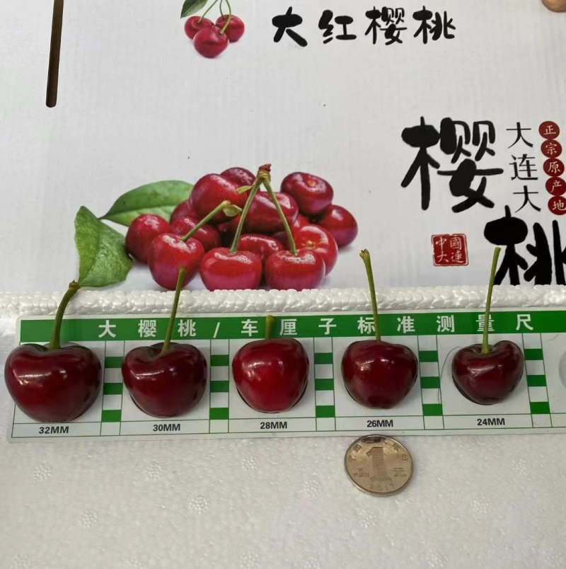 2026年**颗樱桃