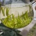 保靖黄金茶