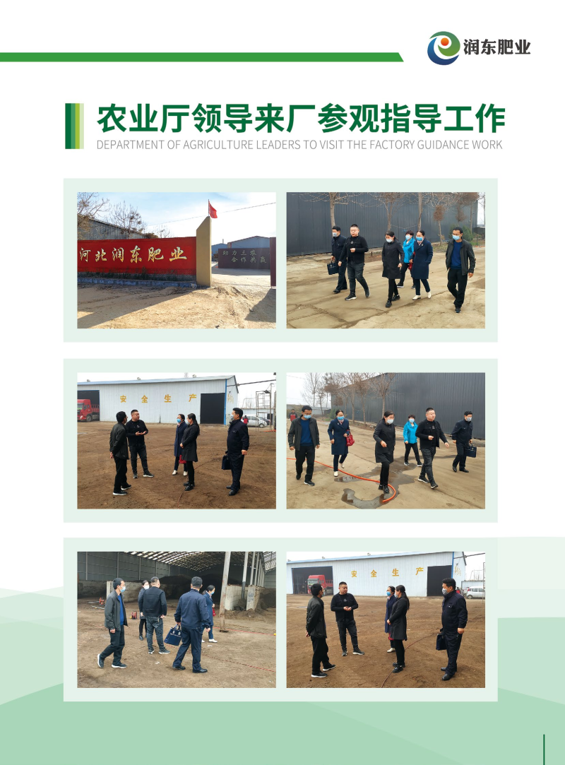 发酵鸡粪充分腐熟发酵厂家直销品质保证