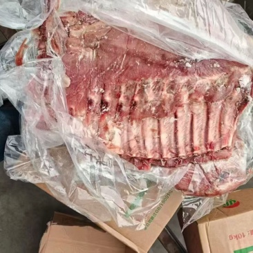 二级毛肋排