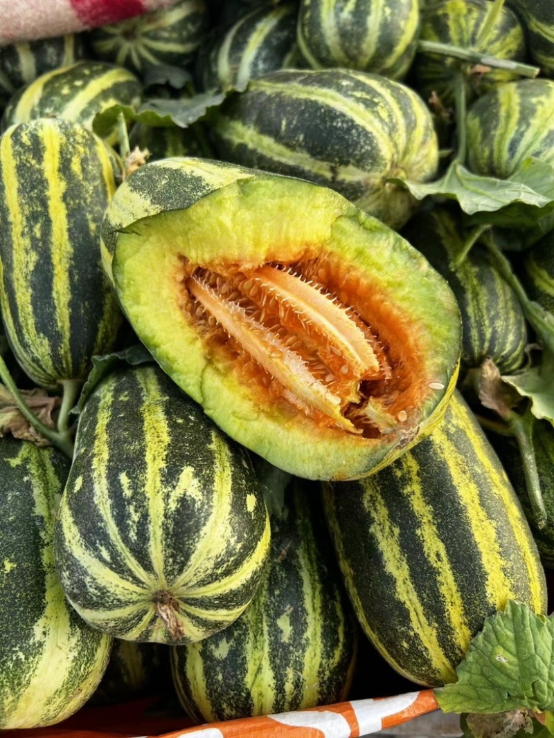 羊角蜜甜瓜博洋甜瓜玉菇甜瓜量大价优基地直供