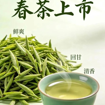 古丈毛尖