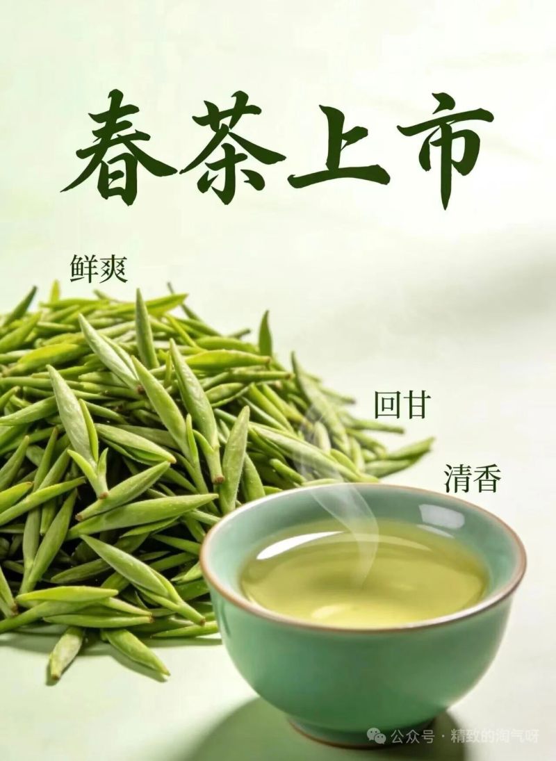 古丈毛尖