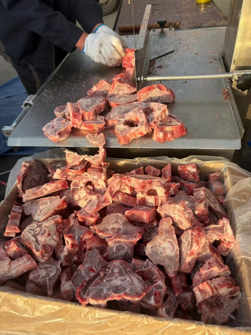满肉羊蝎子