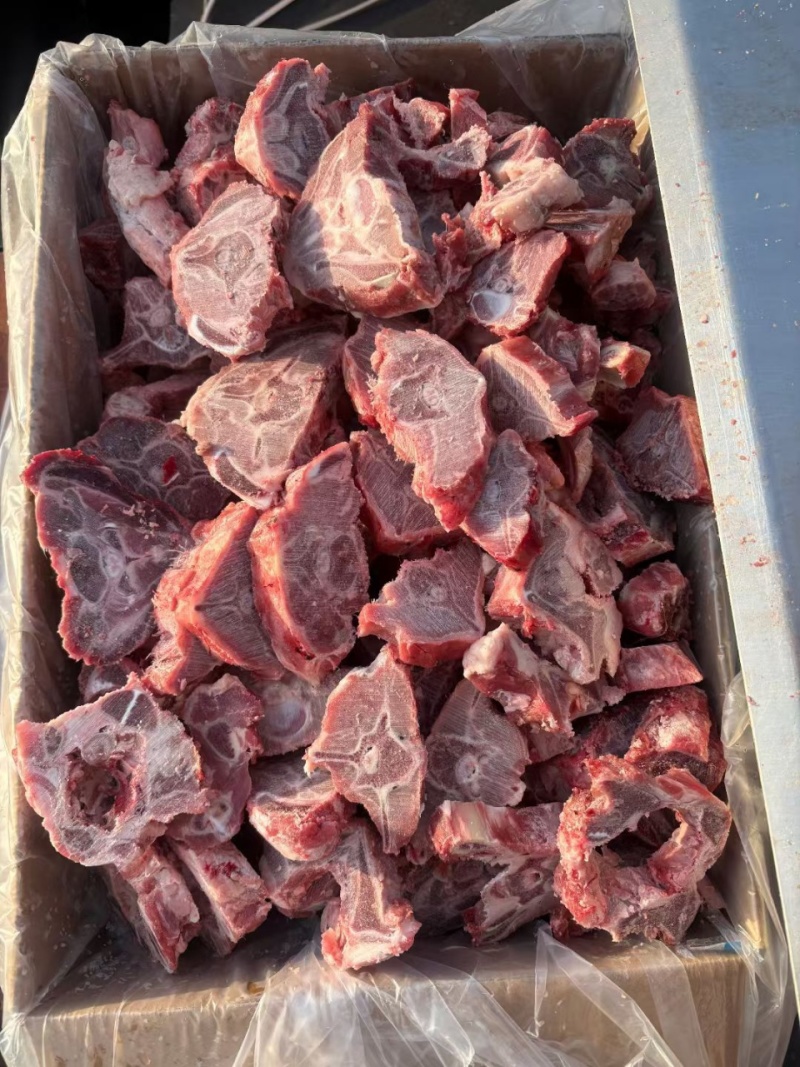 满肉羊蝎子