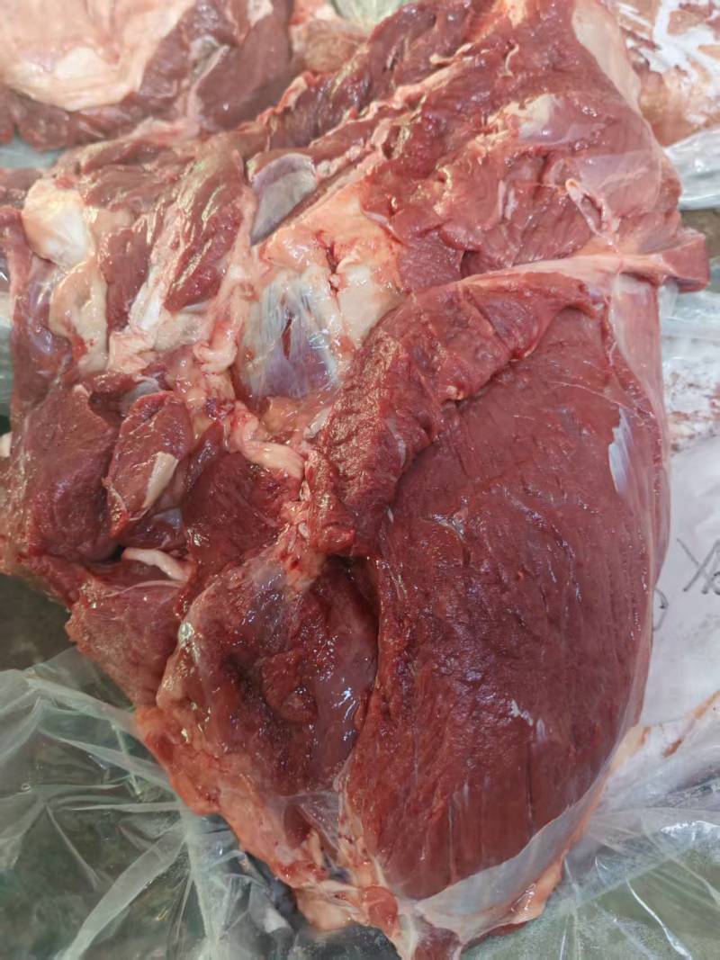 牛脖肉，胸肉，背肩，前腱，牛前，牛后驱