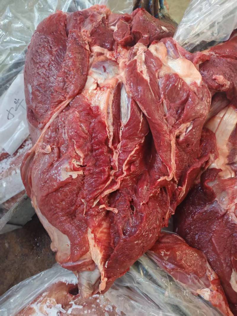 牛脖肉，胸肉，背肩，前腱，牛前，牛后驱