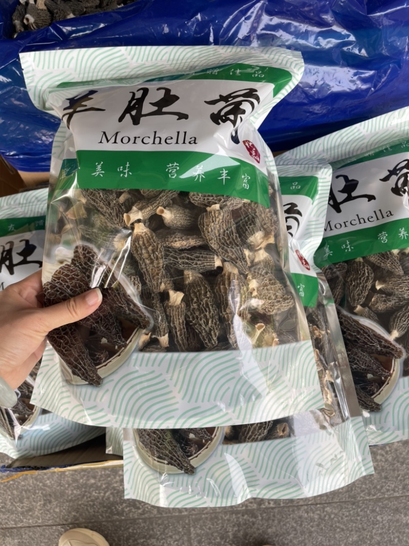 精品羊肚菌