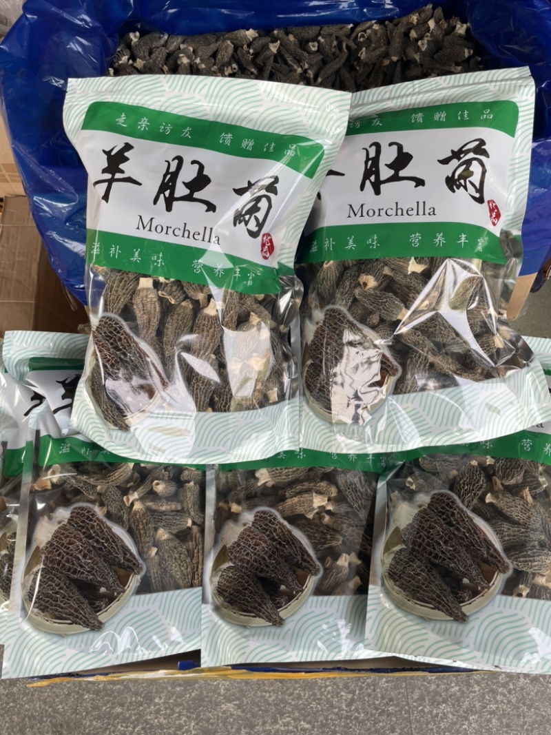 精品羊肚菌