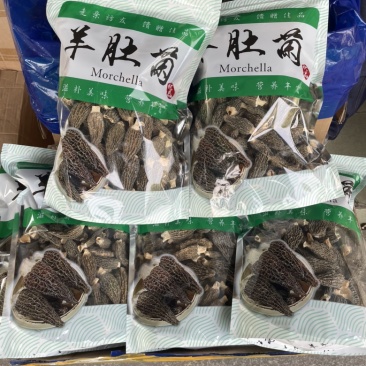 精品羊肚菌