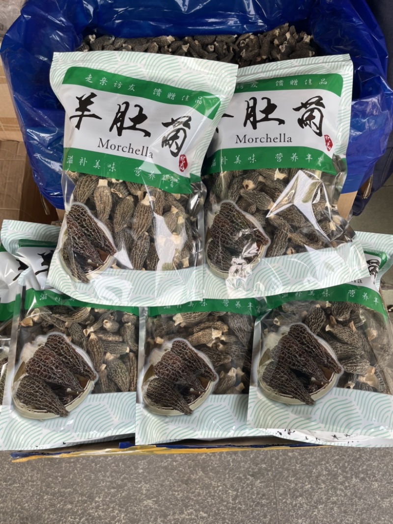精品羊肚菌