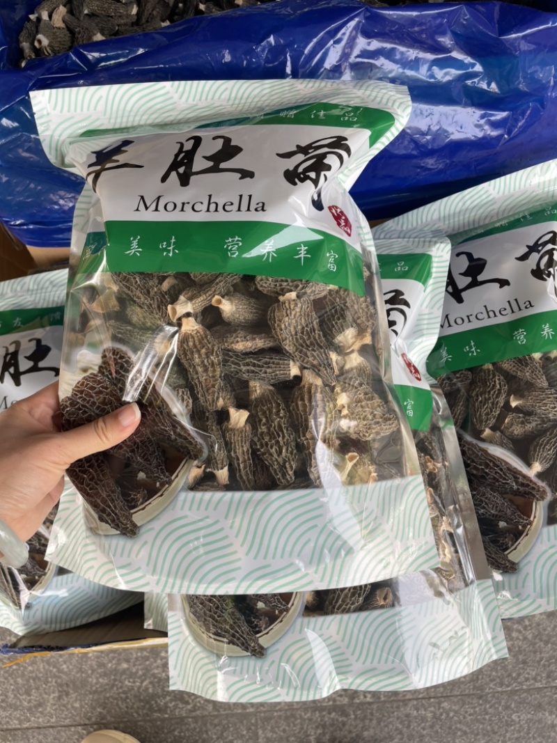 精品羊肚菌