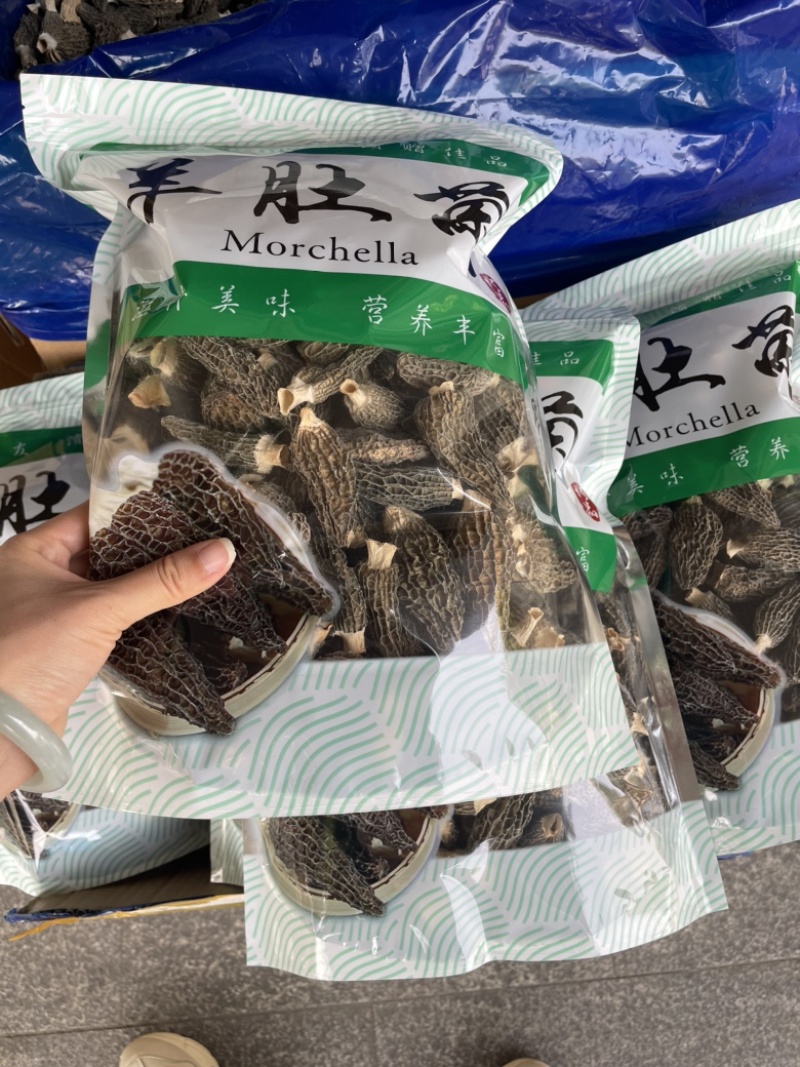 精品羊肚菌