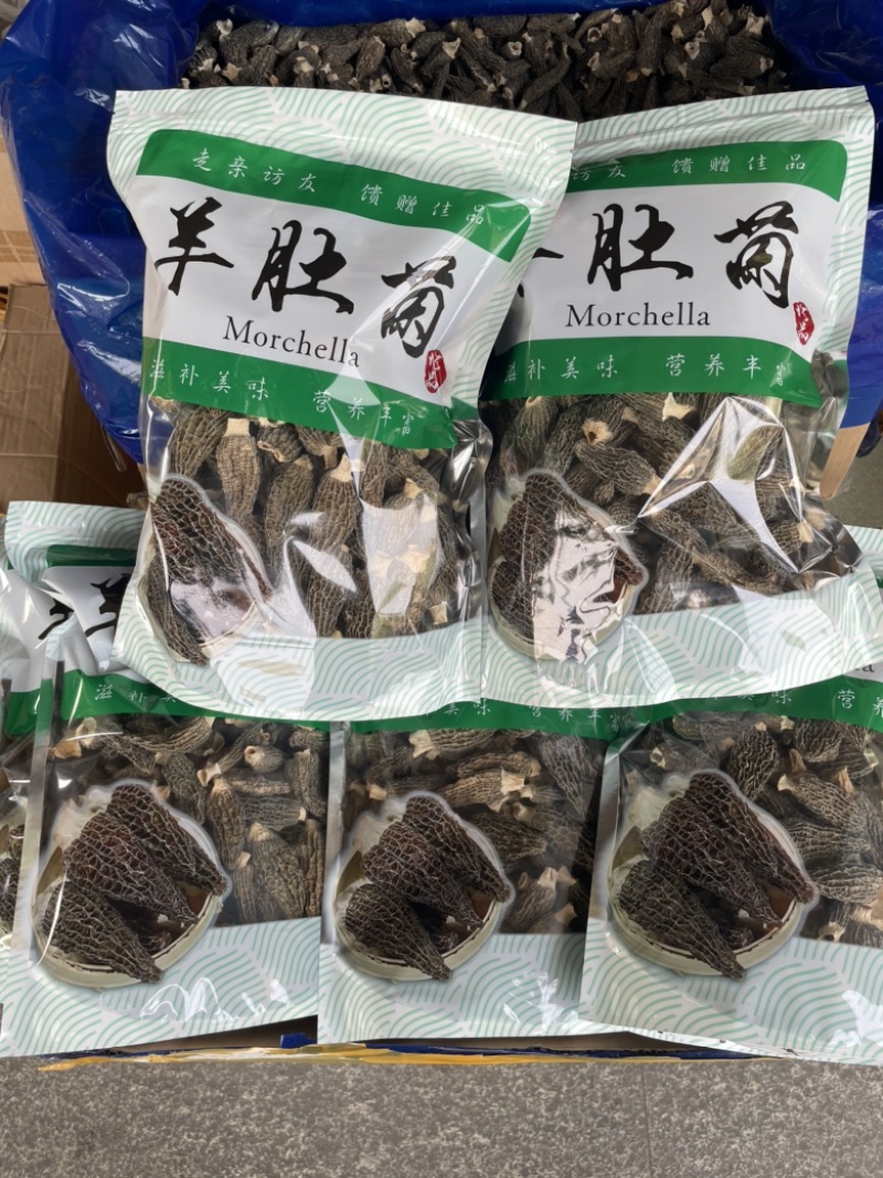 精品羊肚菌