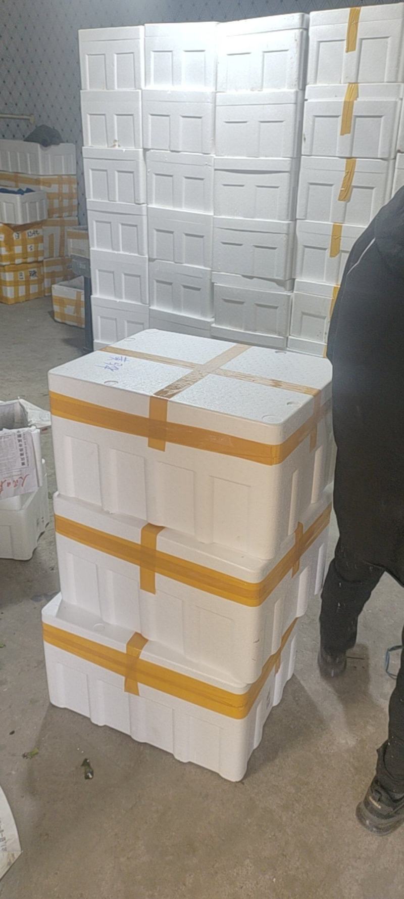 山东泡沫箱，厂家直销，一手货源，蔬菜，水产，邮政，水果箱