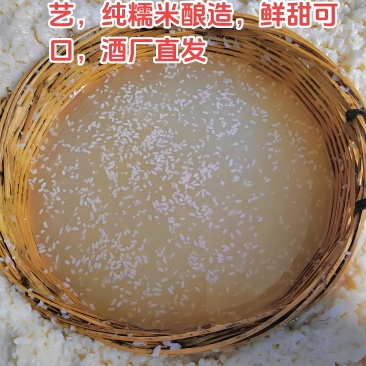 房陵君房县黄酒半甜糯米鲜甜酒手工古法酿造聚会自饮纯粮食洑汁包