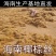 常年供应椰丝，一手货源