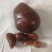中药材鸡宝