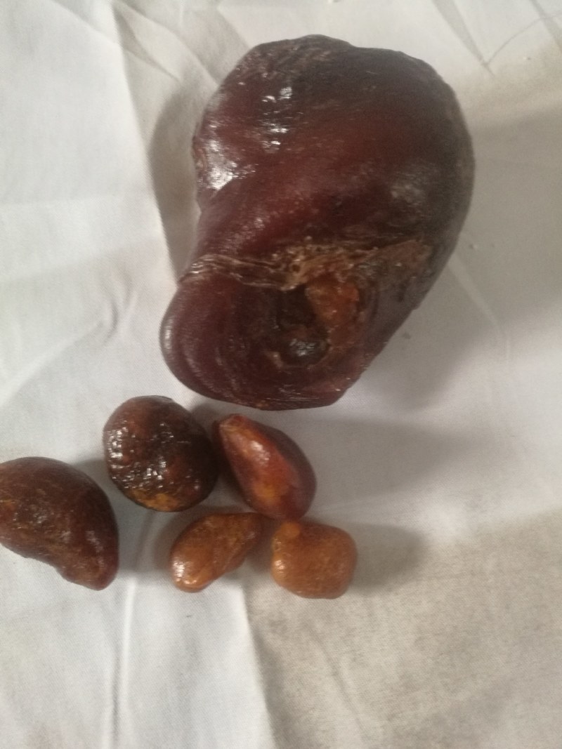 中药材鸡宝