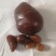 中药材鸡宝