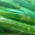 【推荐】莴笋肉莴笋杆子产地直发,质量保证质量三包