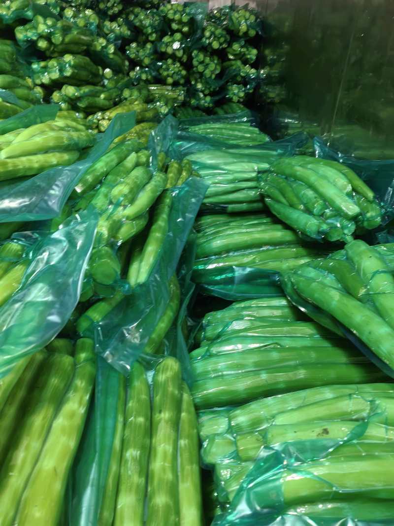 【推荐】莴笋肉莴笋杆子产地直发，质量保证质量三包