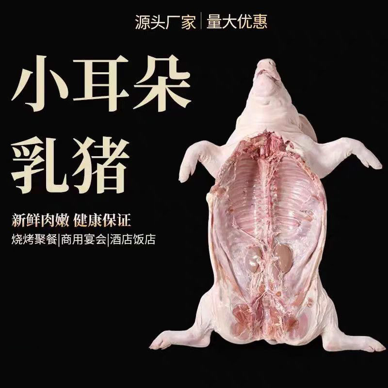 现杀乳猪批发厂家对接全国量大从优一条龙服务