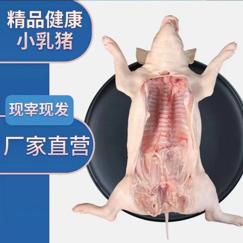 《热卖》现杀鲜冻乳猪工厂直发量大从优全国包邮一条龙服务