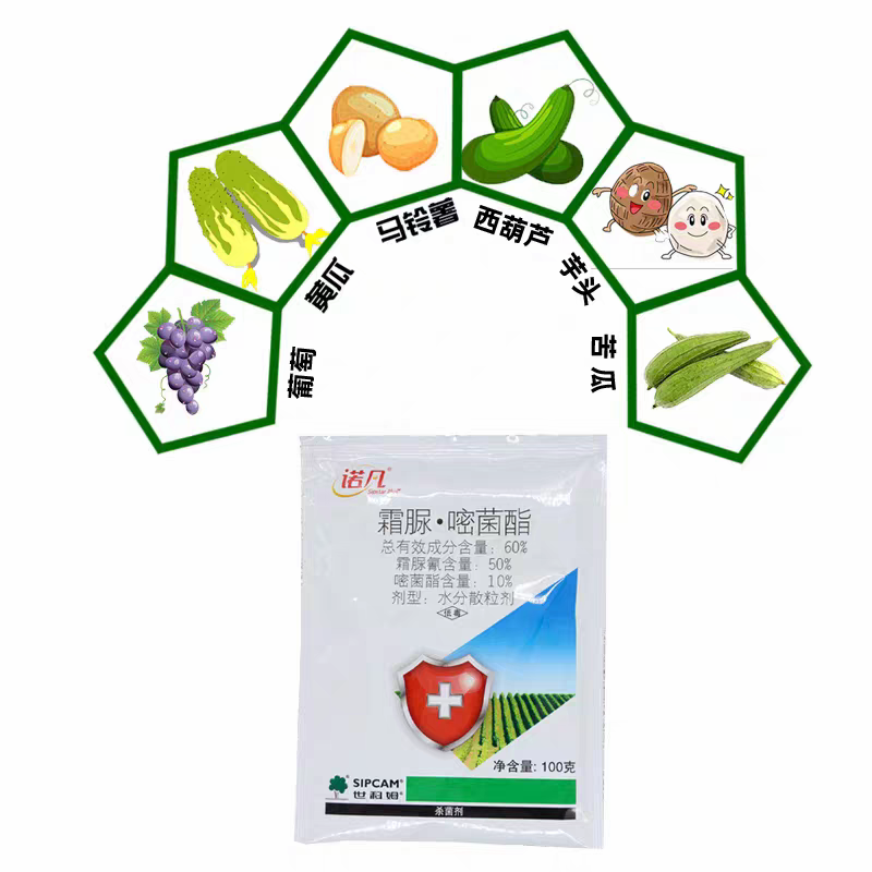 世科姆诺凡霜脲氰嘧菌酯葡萄霜霉病苦瓜芋头西葫芦疫病农药杀