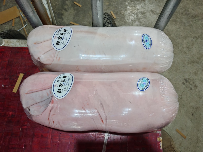 《工厂直发》山东烤乳猪量大从优冷链配送全国包邮