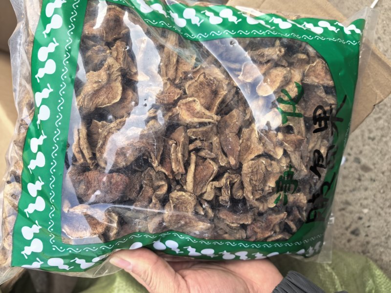 胰岛果