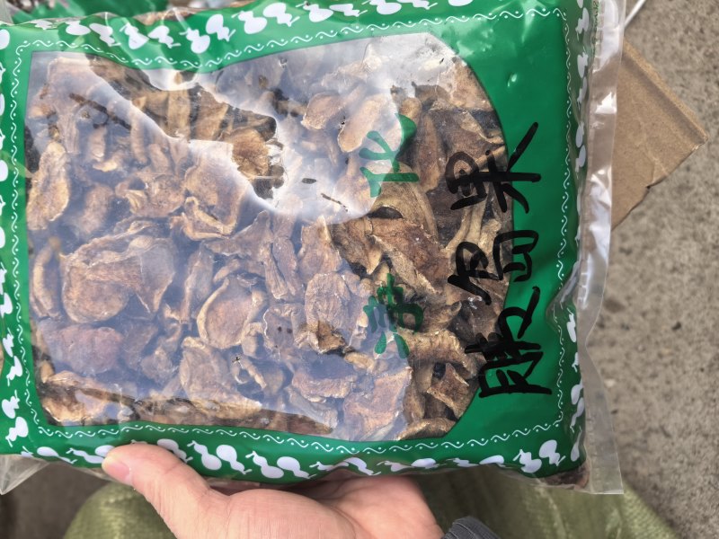 胰岛果