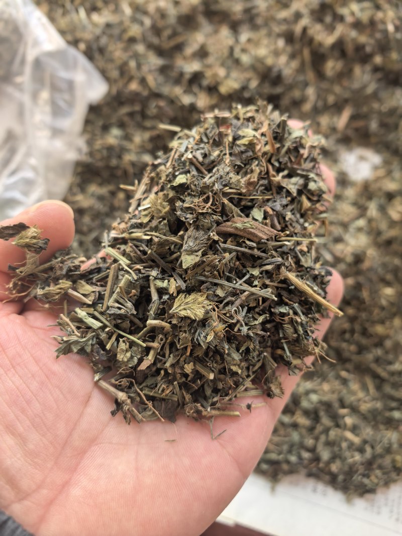 爵床爵床草小青草赤眼老母草麦穗癀不满意可退换货