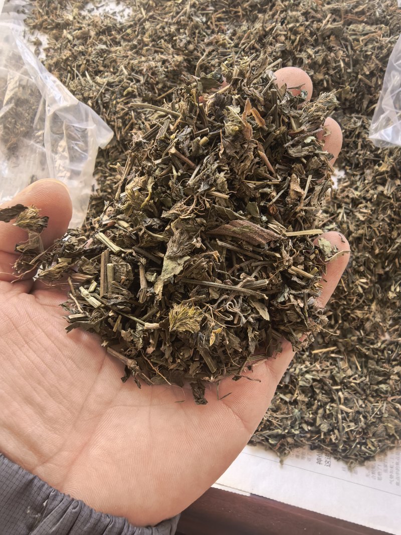 爵床爵床草小青草赤眼老母草麦穗癀不满意可退换货