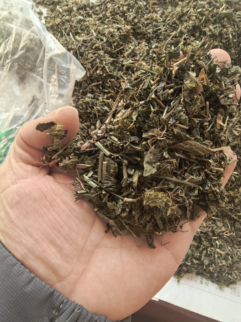 爵床爵床草小青草赤眼老母草麦穗癀不满意可退换货