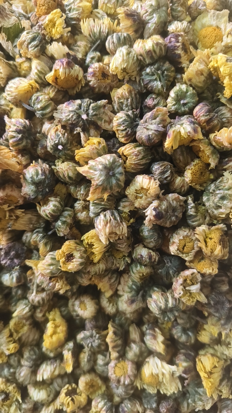 《胎菊》胎菊米胎菊花茶颜色好看清热明目干净无杂质