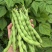 青棒豆豆角种子蔓生鲜荚绿色农家庭院均可种植蔬菜种子