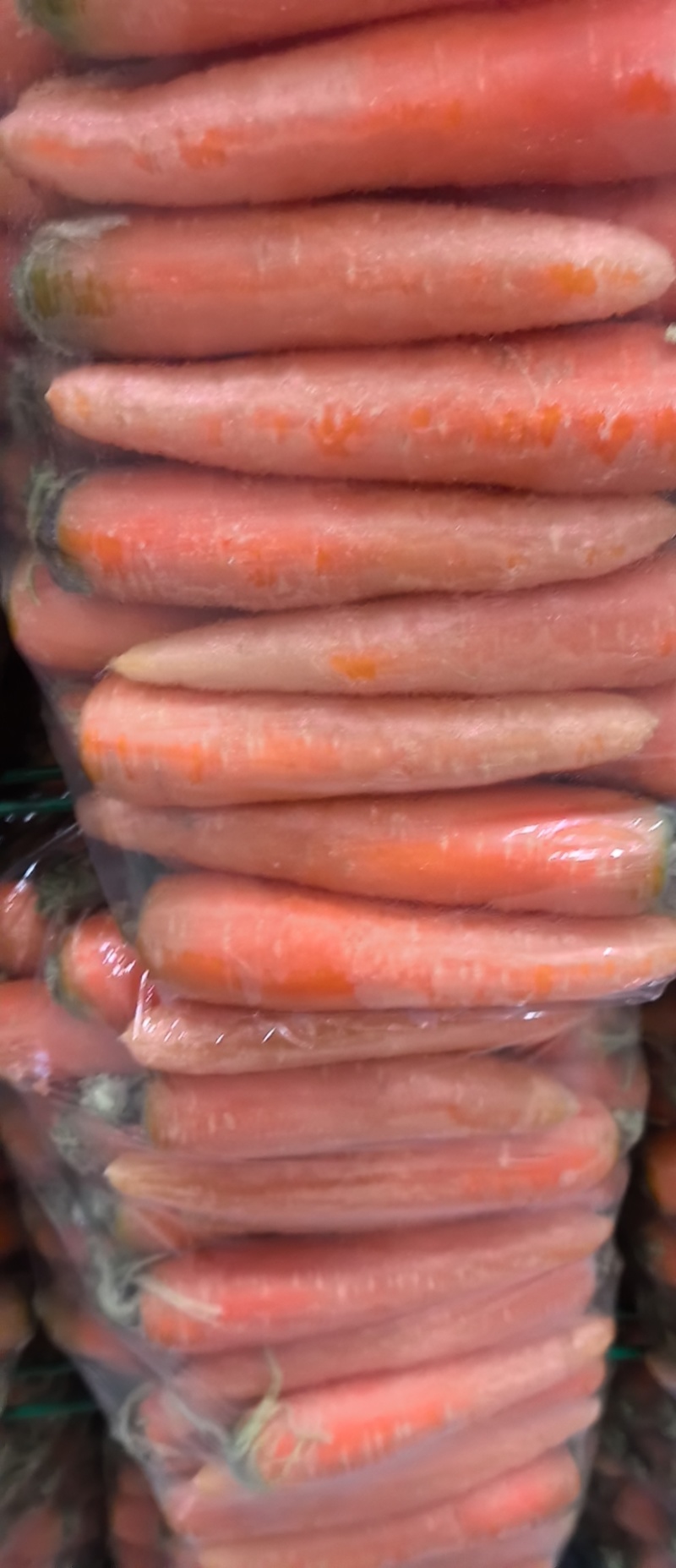 精品红萝卜