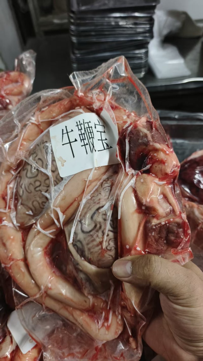 内蒙黄牛鞭牛鞭宝一鞭两蛋精修去油烧烤火锅食材批发纯干无水