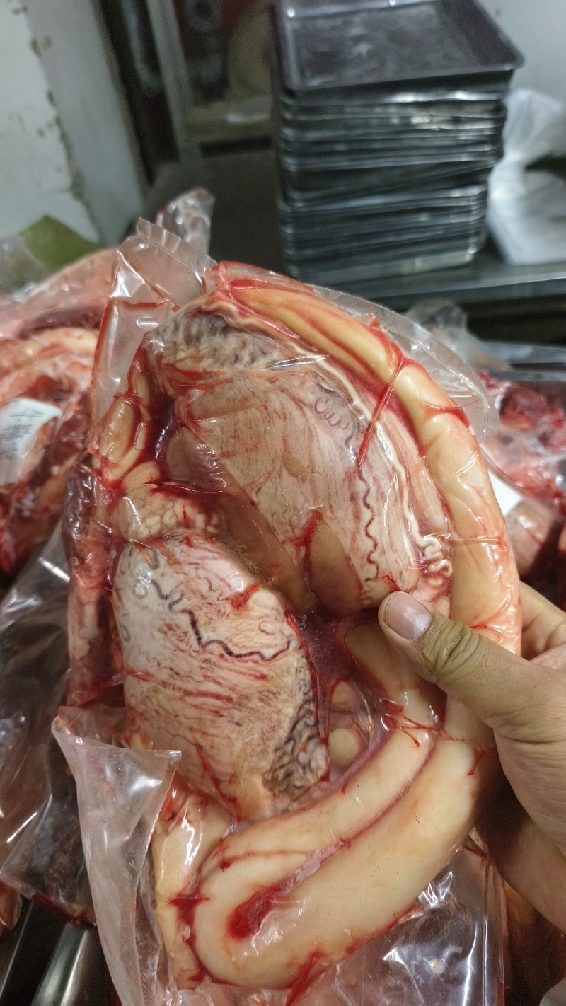 内蒙黄牛鞭牛鞭宝一鞭两蛋精修去油烧烤火锅食材批发纯干无水