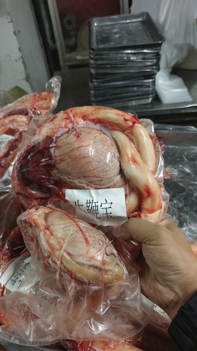 内蒙黄牛鞭牛鞭宝一鞭两蛋精修去油烧烤火锅食材批发纯干无水