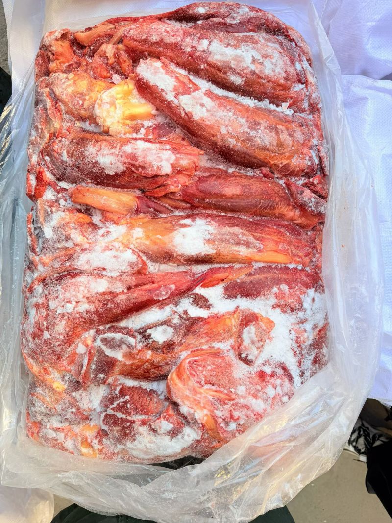 马肉，量大从优，厂家直发，品质保障，欢迎视频看货