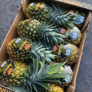 海南凤梨产地直发！