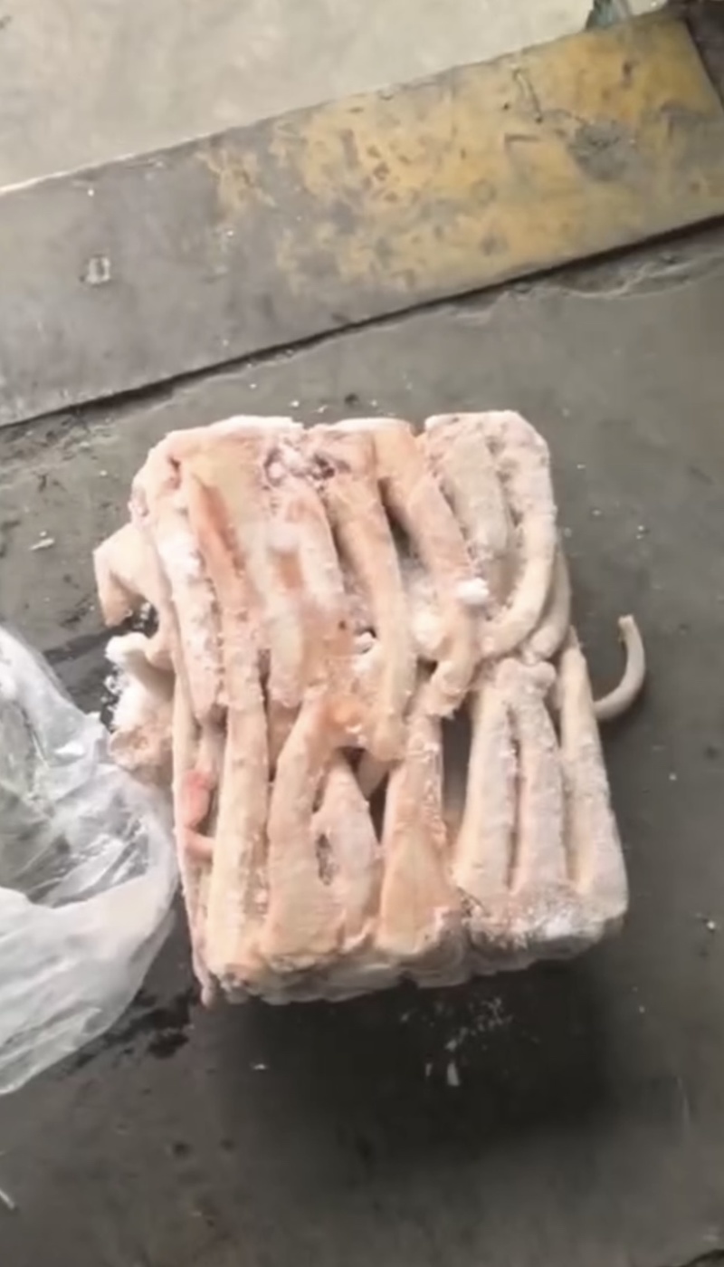 母猪中尾巴，优质猪副产品，质优价廉，大量有货