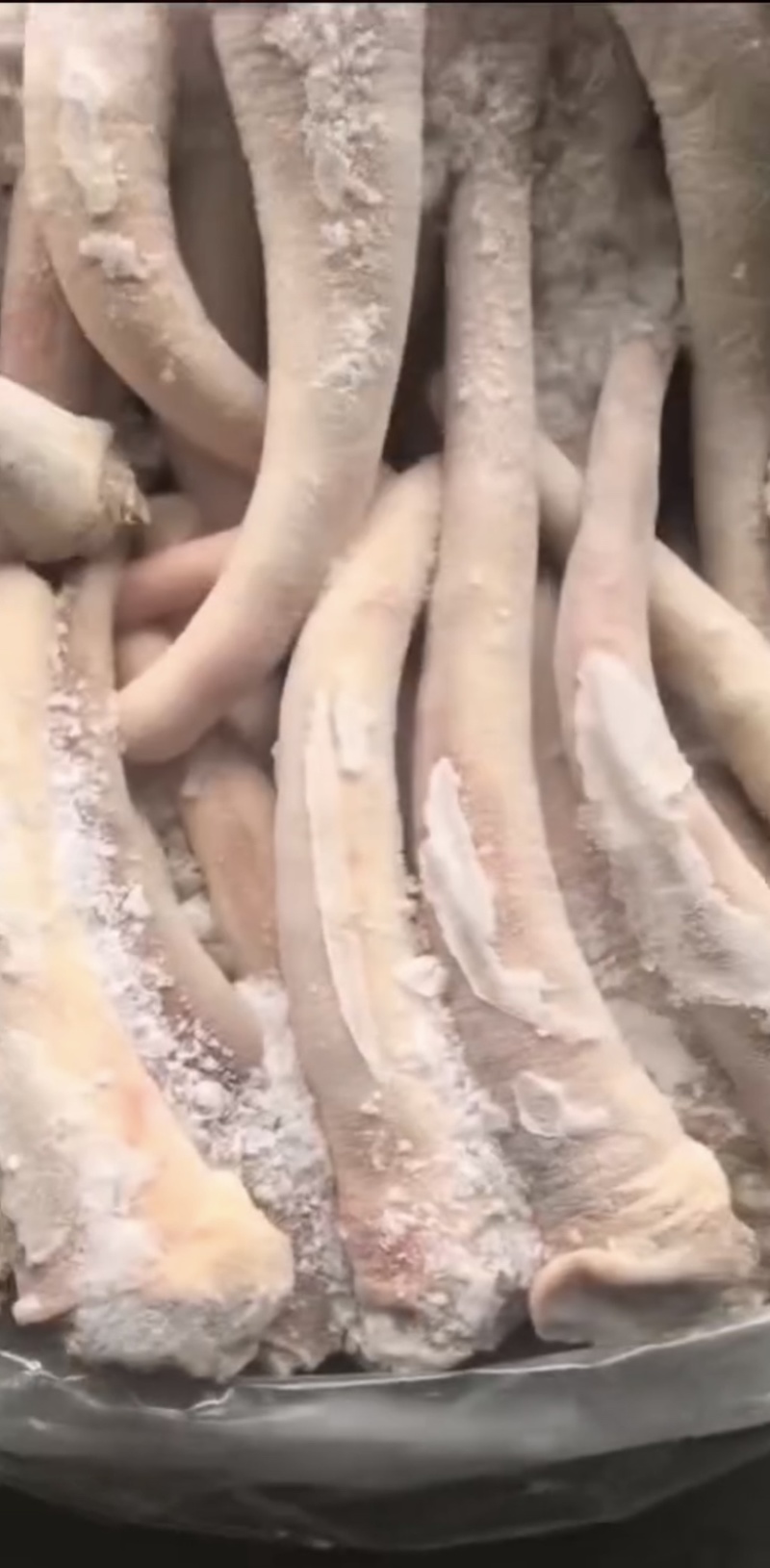 母猪中尾巴，优质猪副产品，质优价廉，大量有货