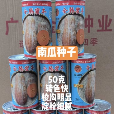 金韩蜜本大果型水分少头小尾肥粗抗病强亩产6000以上