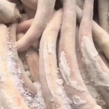 母猪中尾巴，优质猪副产品，质优价廉，大量有货